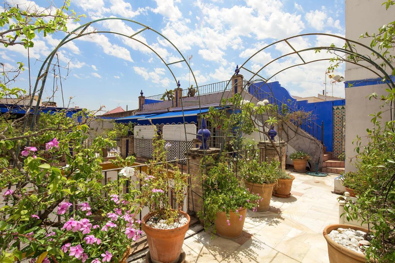 Veoapartment Alfalfa Terraza